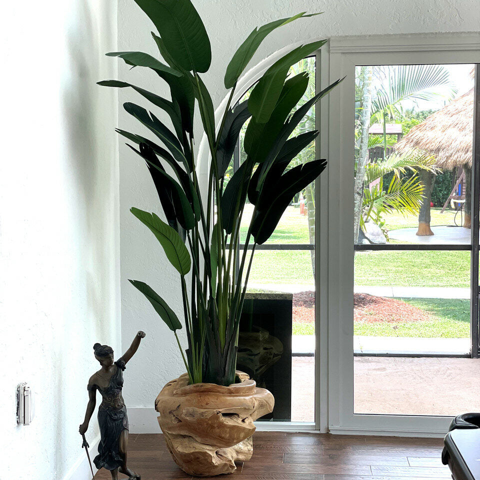 Premium Große Vase aus Teakholz mit prächtiger Strelitzie (Paradiesvogelblume)