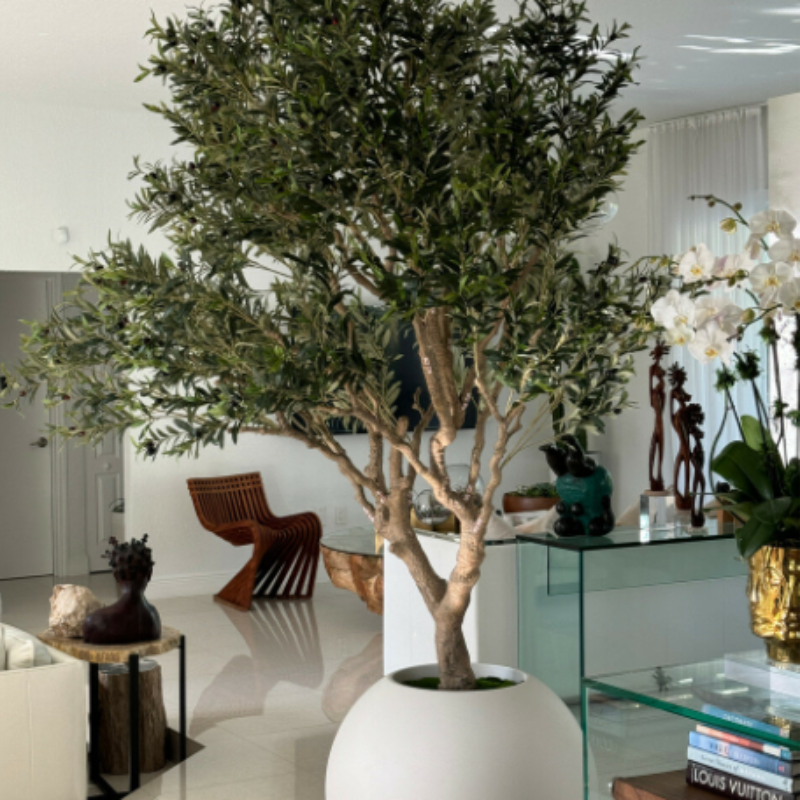 Premium Olivenbaum im matten beigen Topf