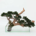 Premium Künstlicher Kriechwacholder-Bonsai