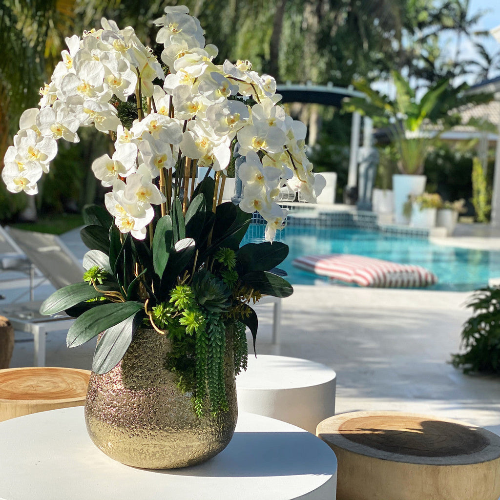 Premium Delaney-Vase in Gold mit mehreren Phalaenopsis-Orchideenstängeln und Sukkulenten