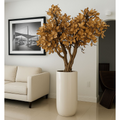 Premium Magnolienbaum in Beige im glänzend weißen Topf – Neu eingetroffen