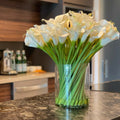 Premium Calla-Lilien im Glaszylinder