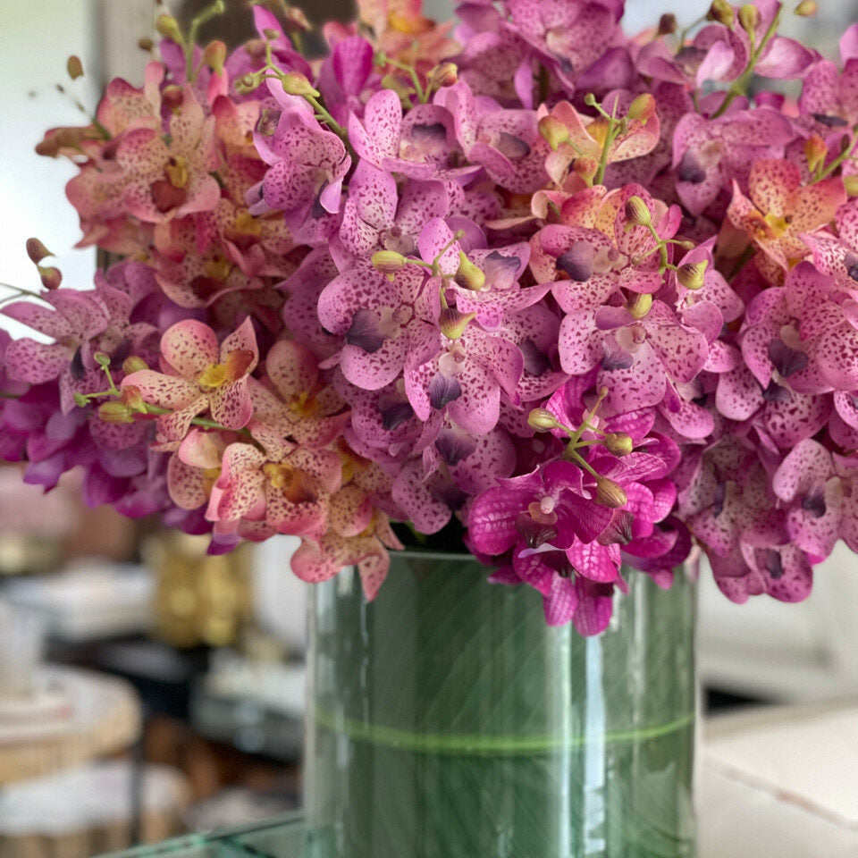 Premium Gemischte Mokara-Orchideen in großem Rota-Zylinder