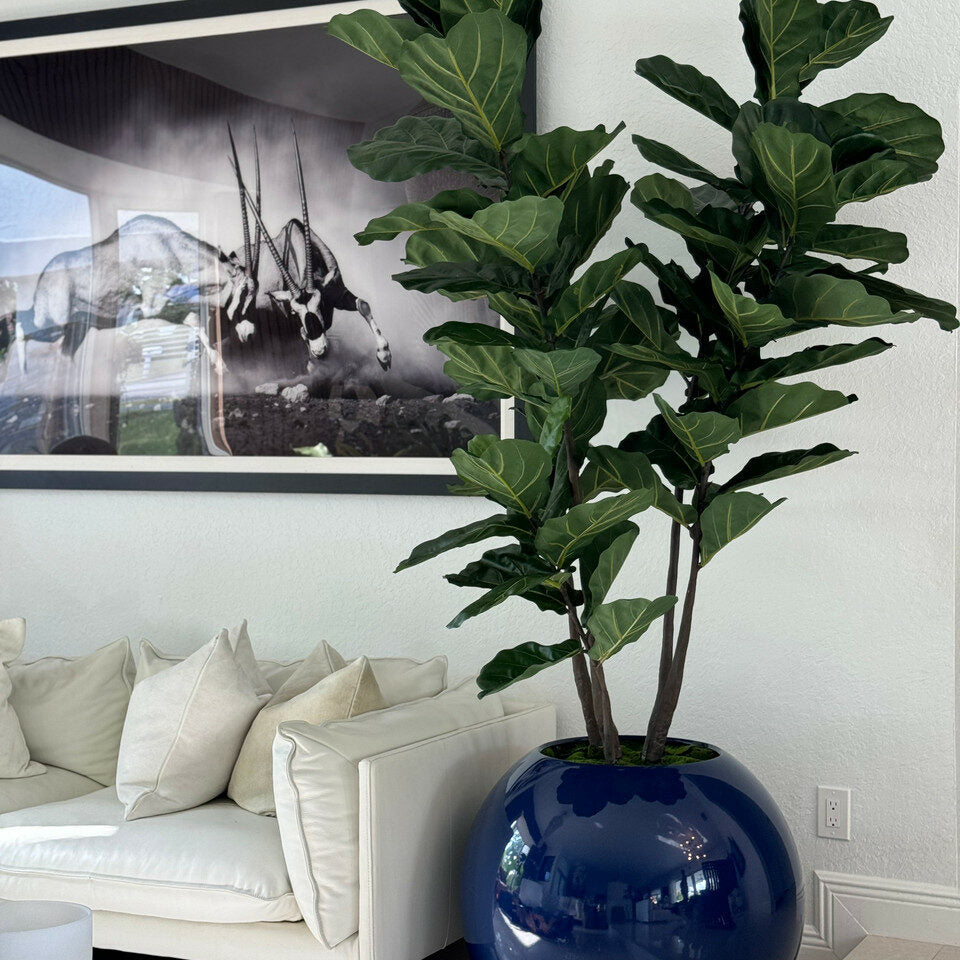 Premium 30″ blaue Kugelvase mit Geigenfeige