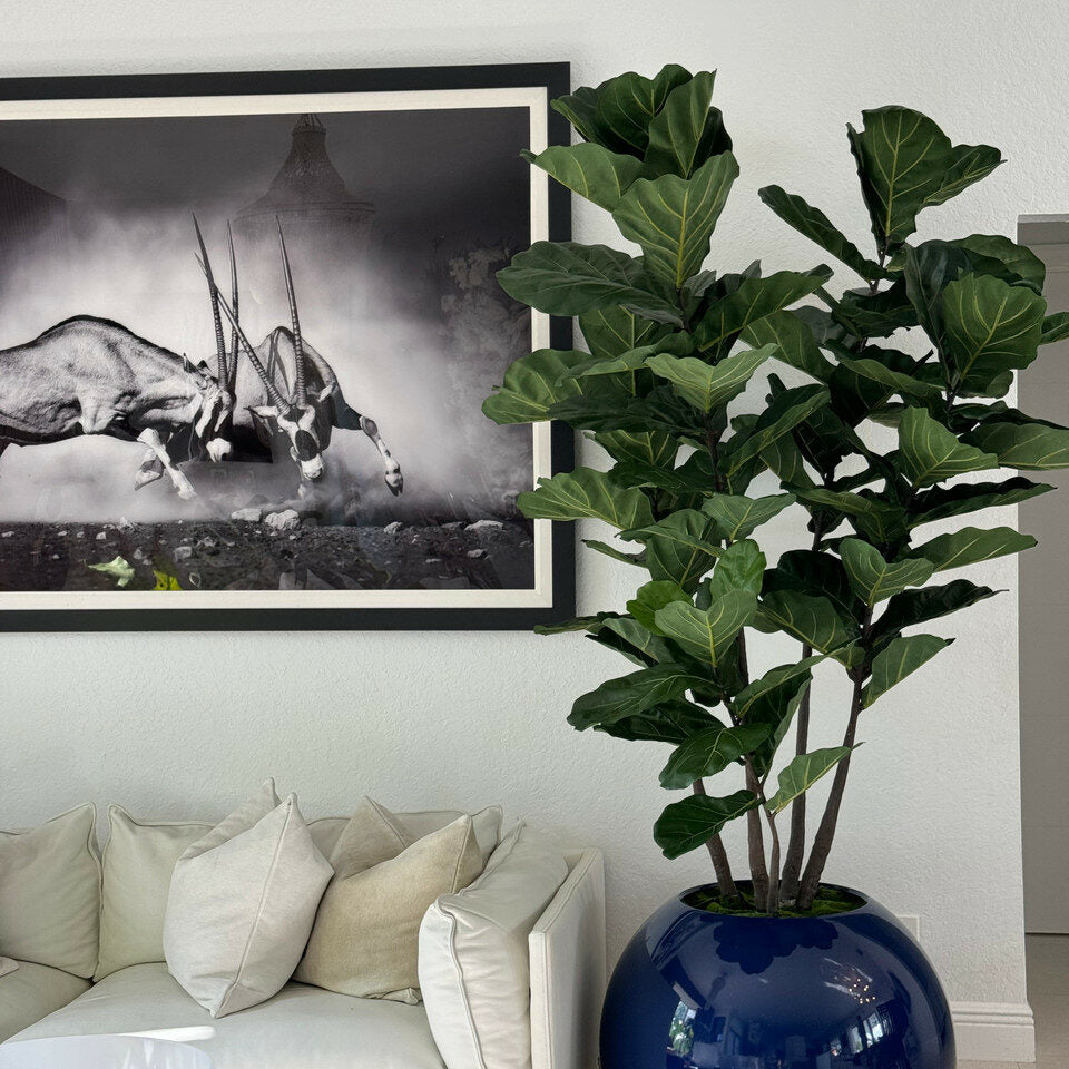 Premium 30″ blaue Kugelvase mit Geigenfeige