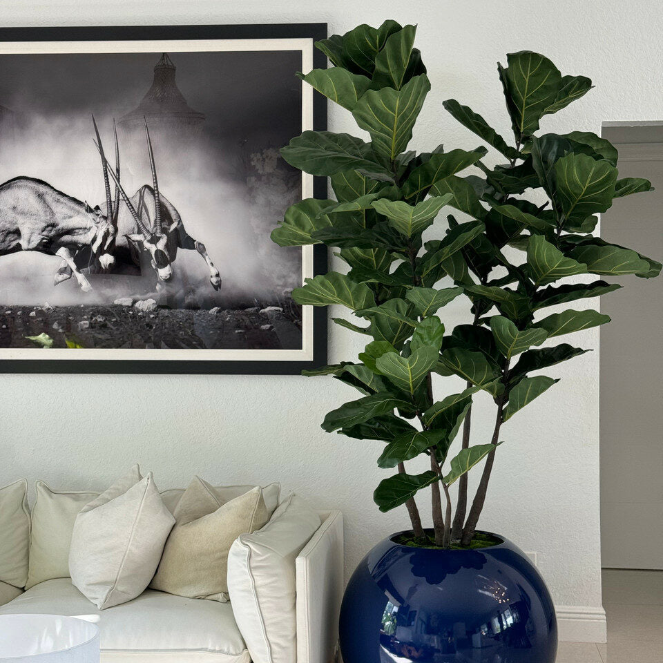 Premium 30″ blaue Kugelvase mit Geigenfeige
