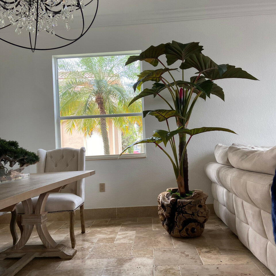 Premium Große Schale aus Teakholz mit Alocasia-Pflanze