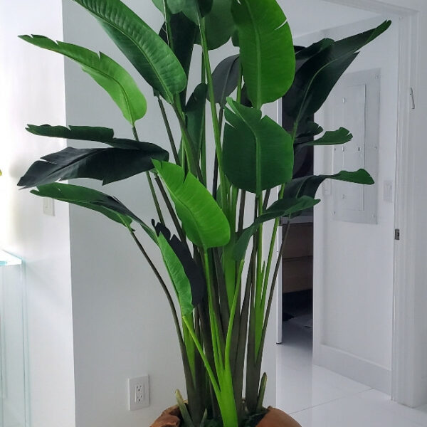 Premium Große Vase aus Teakholz mit prächtiger Strelitzie (Paradiesvogelblume)