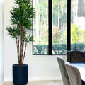 Premium Palme im XL-Topf (schwarz)