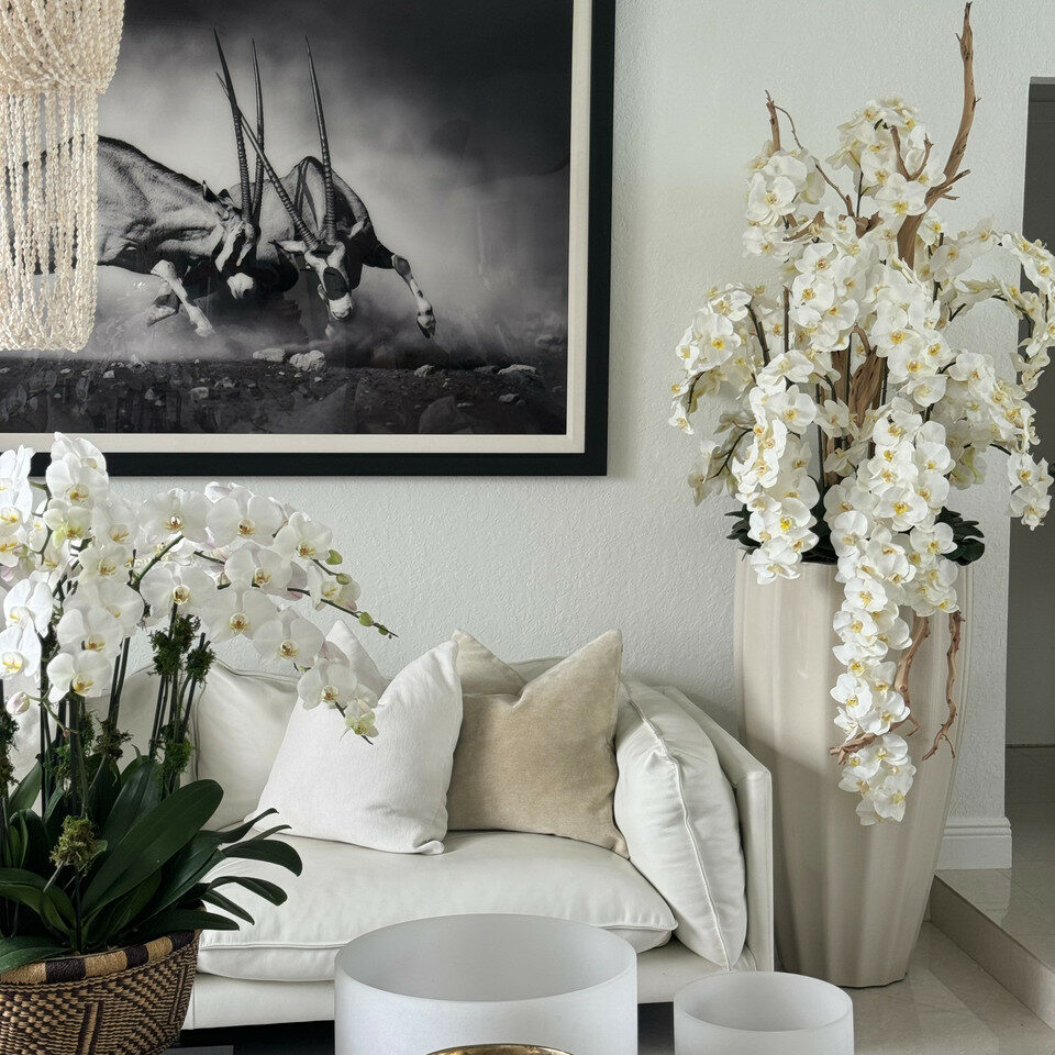 Premium San Jose Vase in sandigem Beige mit weißen Orchideen im Wasserfall-Design