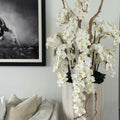 Premium San Jose Vase in sandigem Beige mit weißen Orchideen im Wasserfall-Design