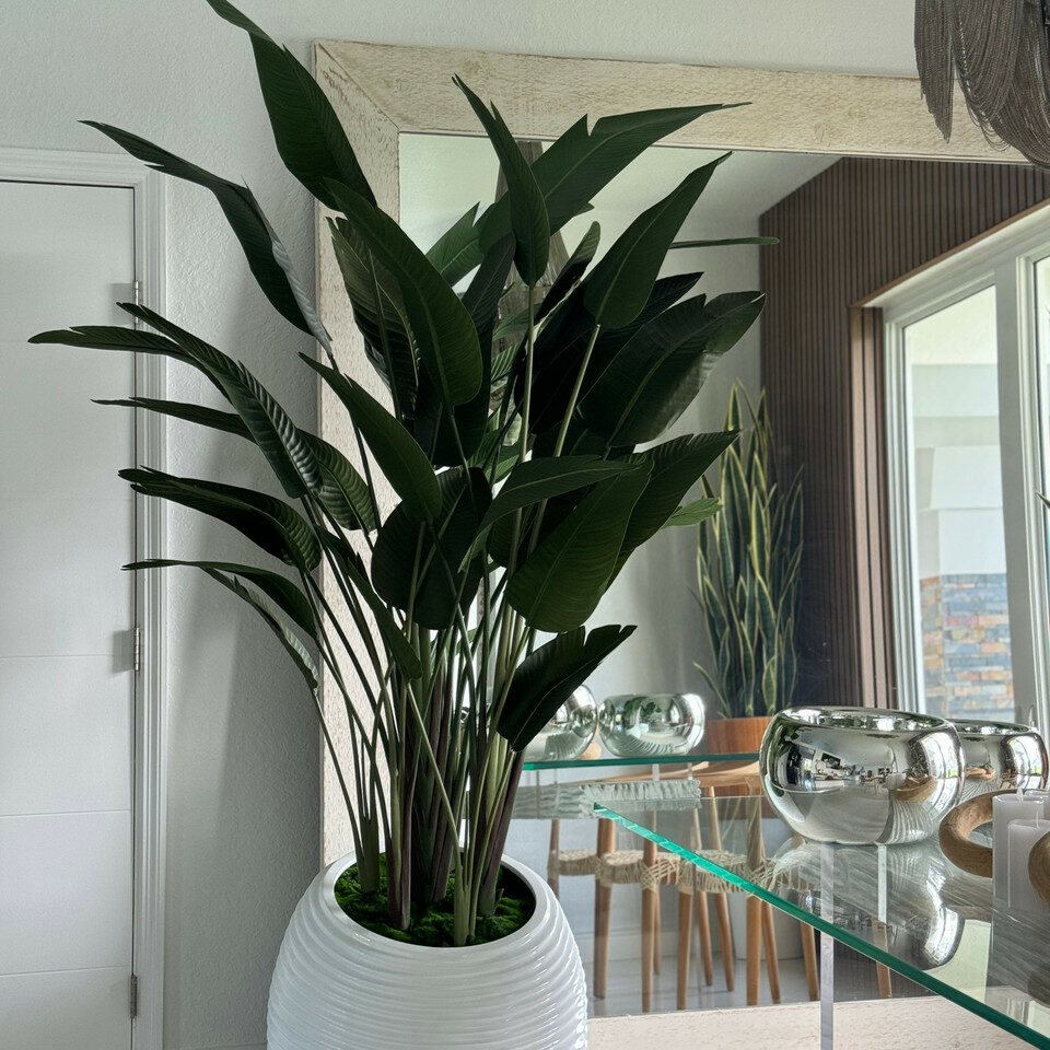 Premium Paradiesvogelblume in weißer Spiralvase
