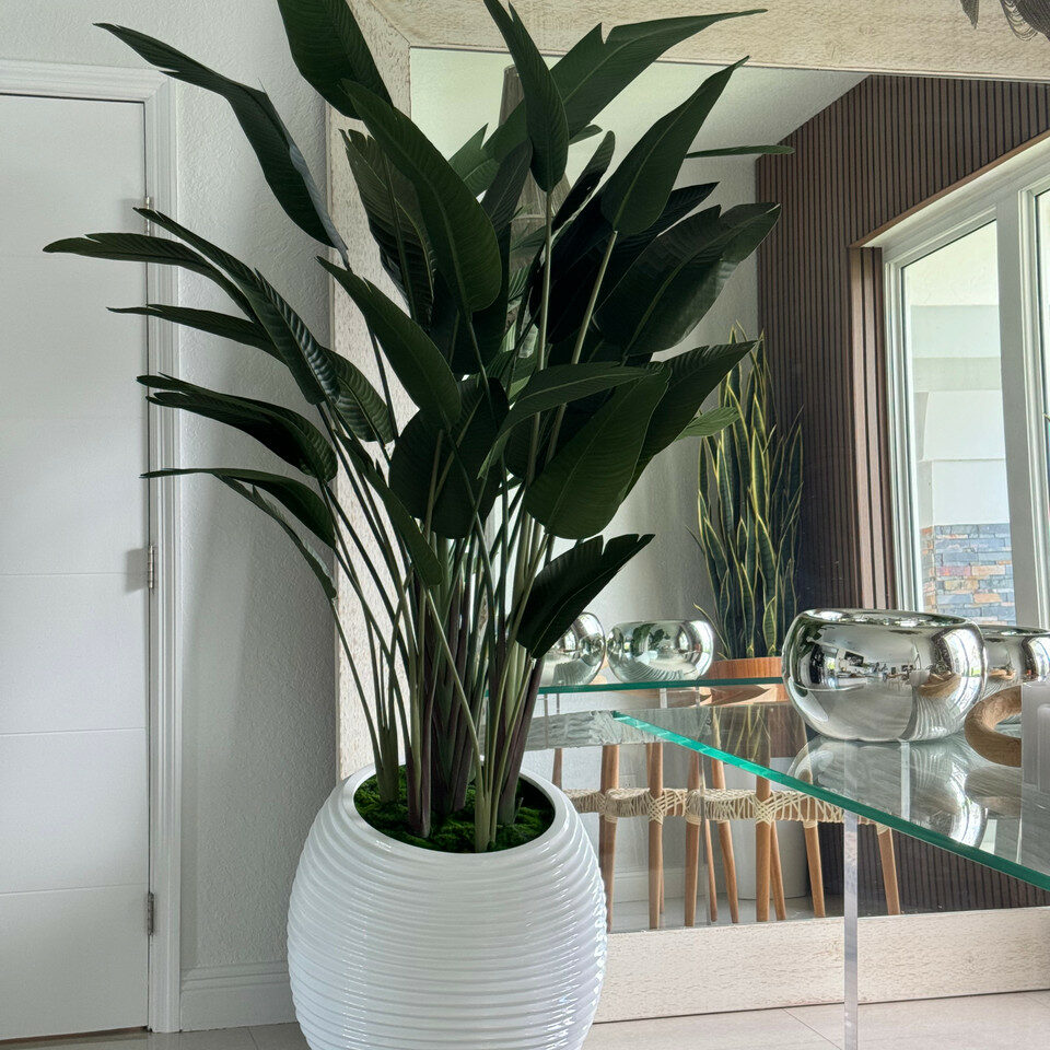Premium Paradiesvogelblume in weißer Spiralvase
