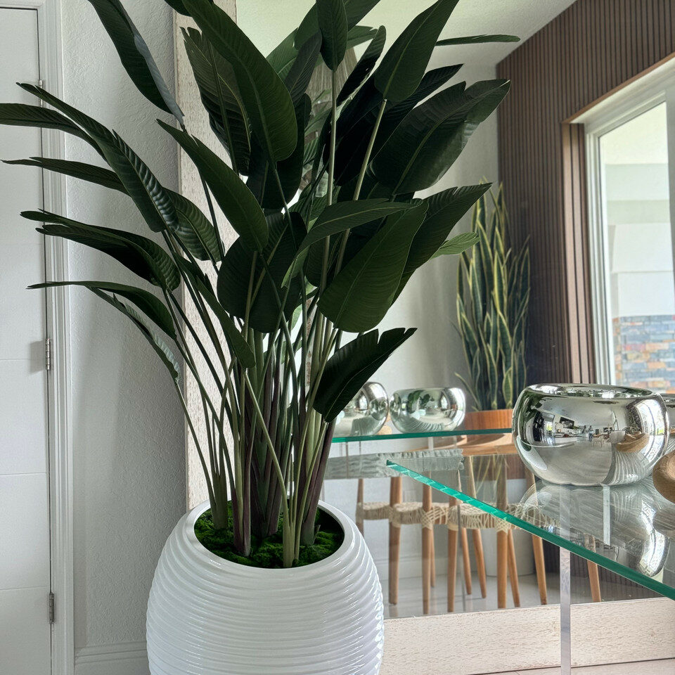 Premium Paradiesvogelblume in weißer Spiralvase