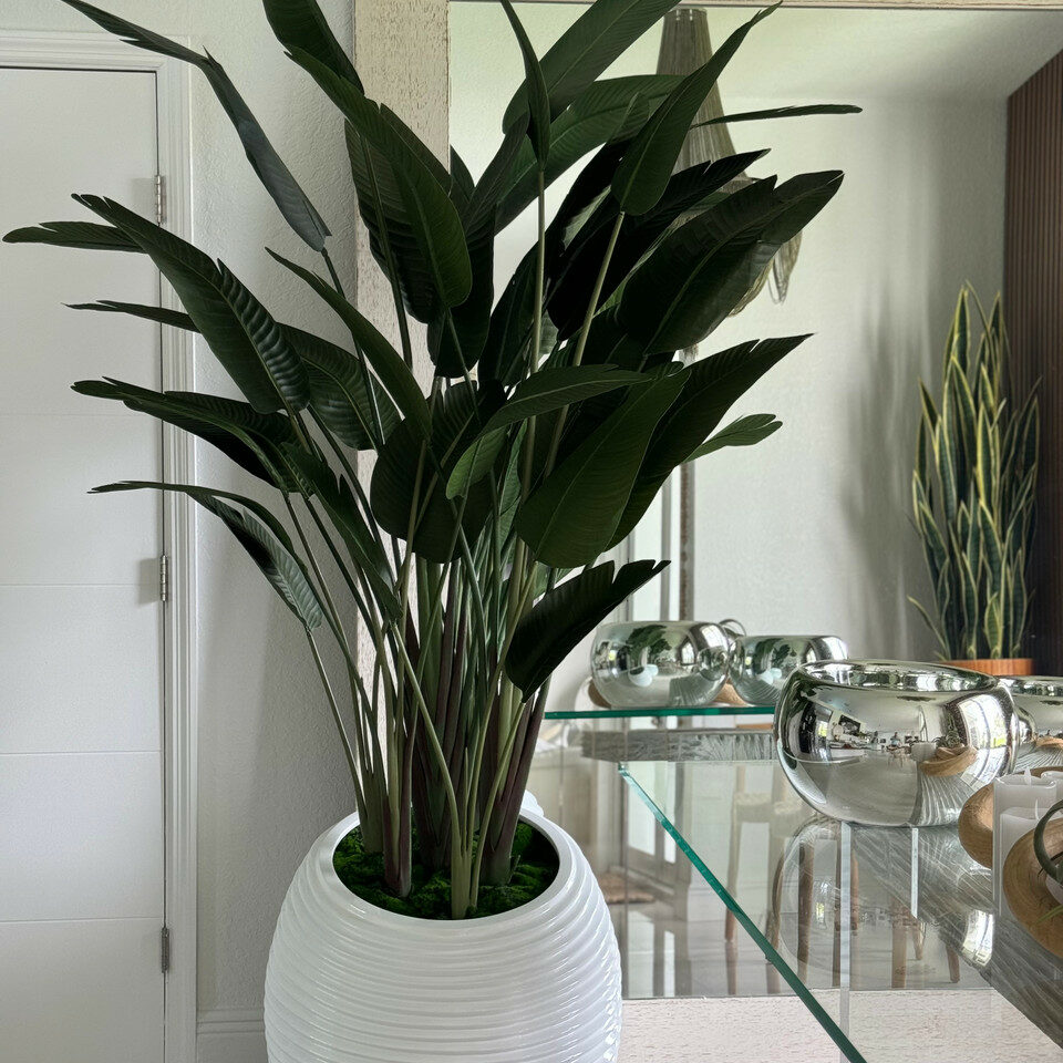 Premium Paradiesvogelblume in weißer Spiralvase