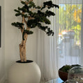 Premium Bonsai-Baum im kugelförmigen Pflanzgefäß – 180 cm, Satinbeige