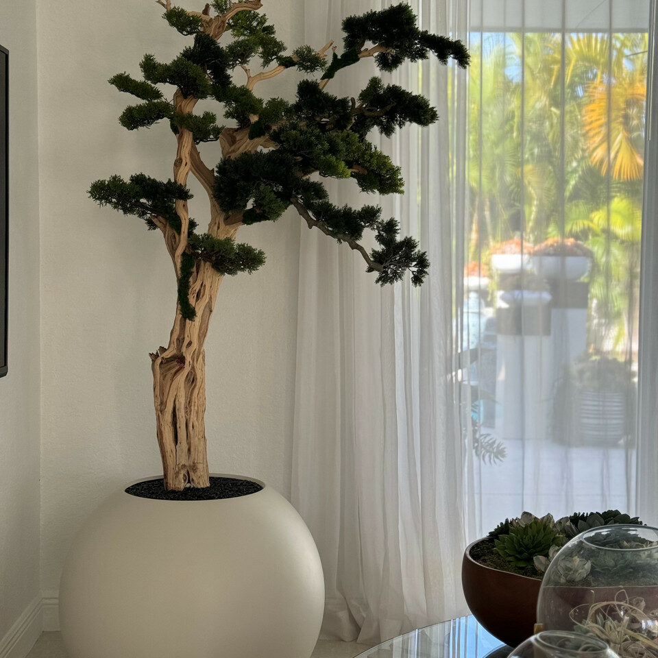 Premium Bonsai-Baum im kugelförmigen Pflanzgefäß – 180 cm, Satinbeige