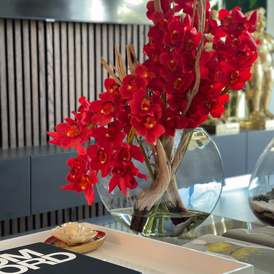 Premium Rote Cymbidium-Orchideen im Mond-Pflanzgefäß