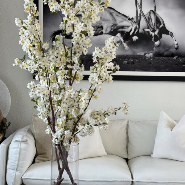 Premium Kirschblüten in einem 40 cm Glaszylinder