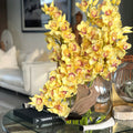 Premium Gelbe Cymbidium-Orchideen in Mondvase