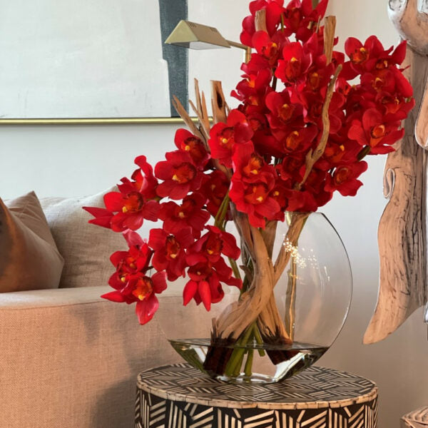 Premium Rote Cymbidium-Orchideen im Mond-Pflanzgefäß