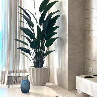 Premium Santa Barbara Pflanztopf in Mattbeige mit Paradiesvogelblume